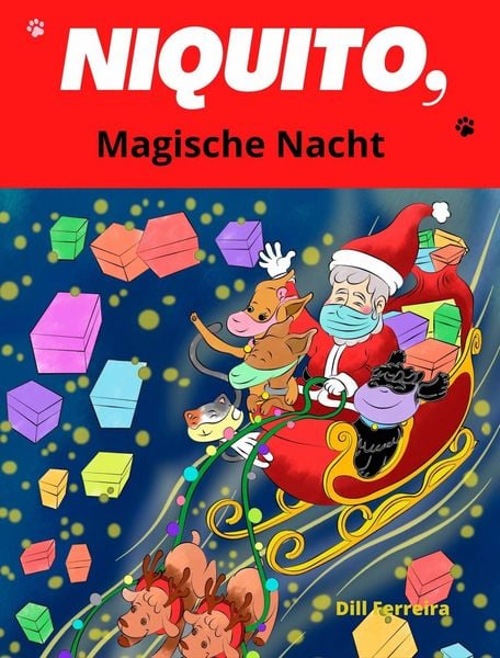 Produktbild: Niquito, magische Nacht