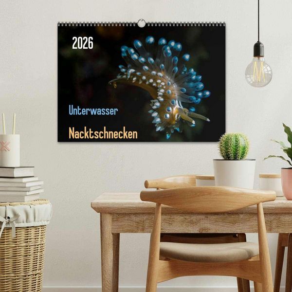 Produktbild: Unterwasser - Nacktschnecken 2026 (Wandkalender 2026 DIN A3 quer), CALVENDO Monatskalender