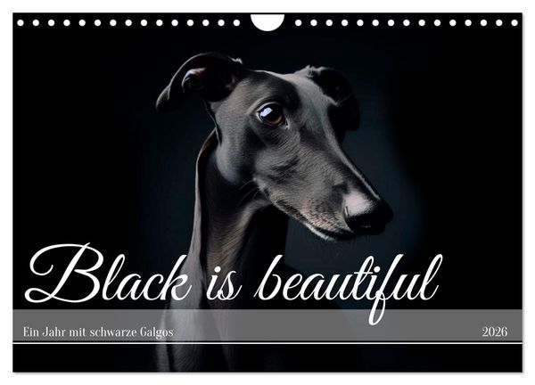 Black is beautiful (Wandkalender 2026 DIN A4 quer), CALVENDO Monatskalender