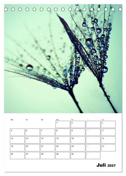 Produktbild: Pusteblumentraum - Dreams of Dandelion (Tischkalender 2027 DIN A5 hoch), CALVENDO Monatskalender