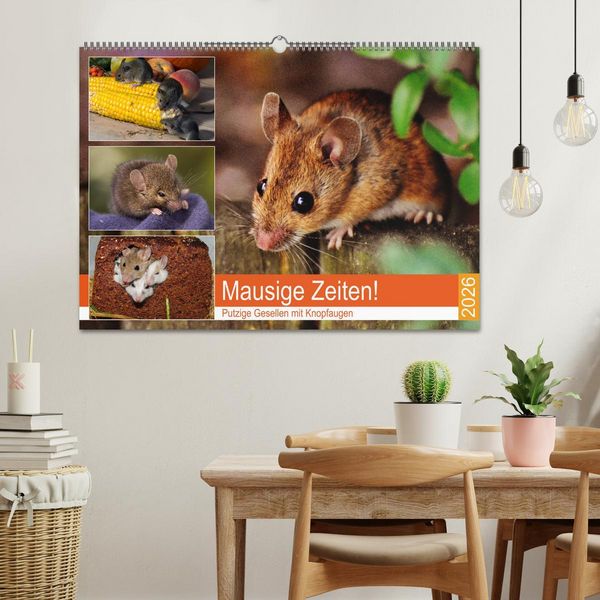 Produktbild: Mausige Zeiten! Putzige Gesellen mit Knopfaugen (Wandkalender 2026 DIN A2 quer), CALVENDO Monatskalender