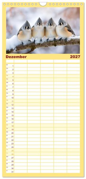 Produktbild: Familienplaner 2027 - Die Magie der Masse mit 5 Spalten (Wandkalender, 21 x 45 cm) CALVENDO