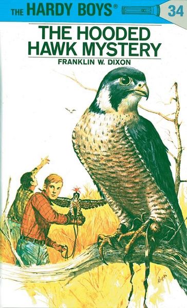 Produktbild: Hardy Boys 34: The Hooded Hawk Mystery