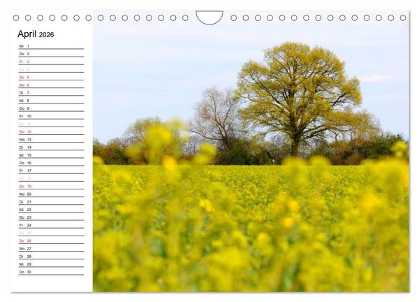 Produktbild: Die Jahreszeiten im Havelland (Wandkalender 2026 DIN A4 quer), CALVENDO Monatskalender