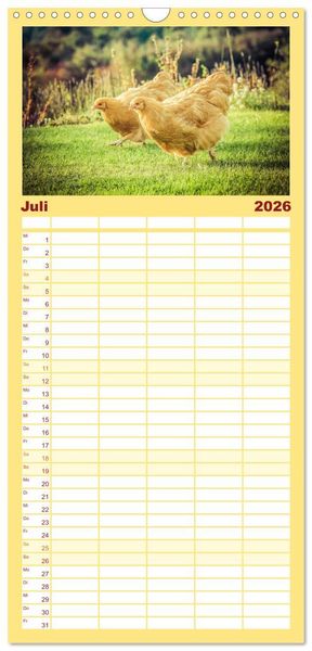 Produktbild: Familienplaner 2026 - H&uuml;hner in meinem Garten mit 5 Spalten (Wandkalender, 21 x 45 cm) CALVENDO