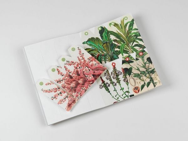 Produktbild: Natural History