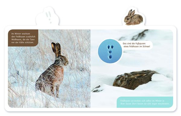 Produktbild: Der Hase