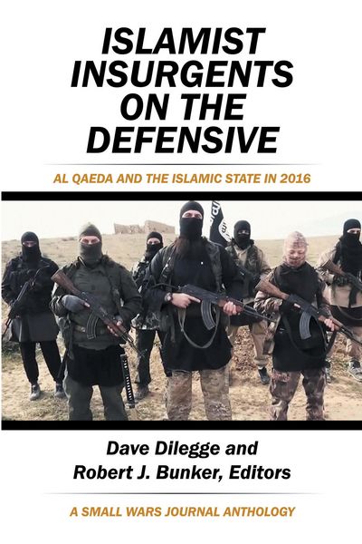 Produktbild: Islamist Insurgents on the Defensive