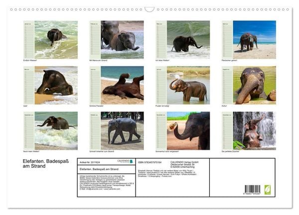 Produktbild: Elefanten. Badespa&szlig; am Strand (Wandkalender 2026 DIN A2 quer), CALVENDO Monatskalender