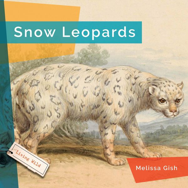 Produktbild: Snow Leopards