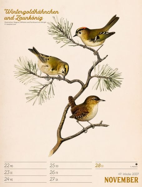 Produktbild: Wunderbare Vogelwelt Wochenplaner Kalender 2027