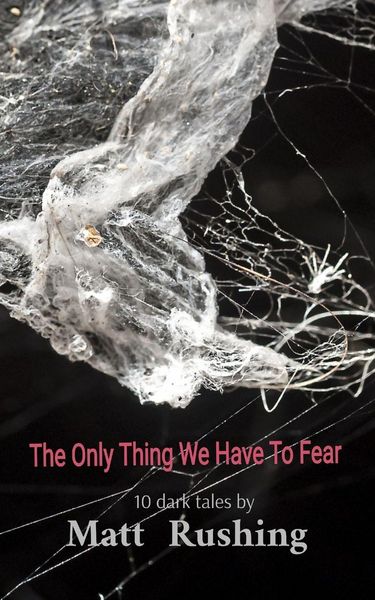 Produktbild: The Only Thing We Have To Fear