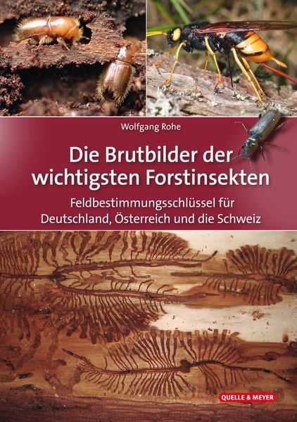 Die Brutbilder der wichtigsten Forstinsekten, Taschenbuch von Wolfgang Rohe, Quelle & Meyer, 978-3-494-01975-8