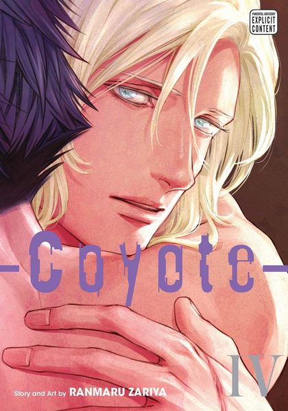 Produktbild: Coyote, Vol. 4