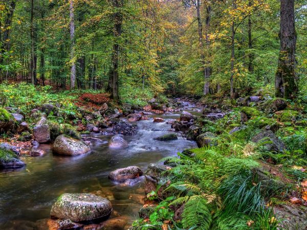 Produktbild: CALVENDO Puzzle Elendtal bei Schierke | 1000 Teile Lege-Gr&ouml;&szlig;e 64x48cm Foto-Puzzle f&uuml;r gl&uuml;ckliche Stunden