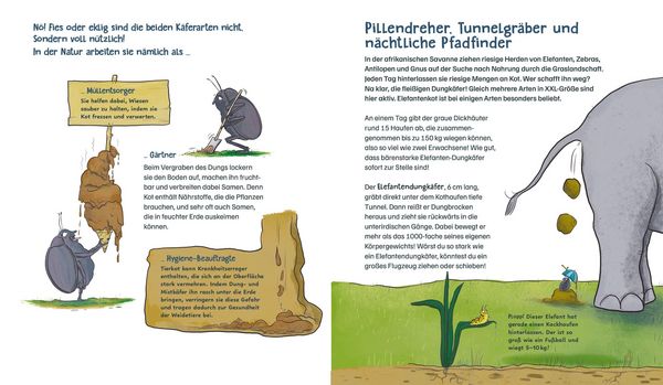 Produktbild: Die M&uuml;llabfuhr in der Natur &ndash; Alles &uuml;ber Mistk&auml;fer und Co.