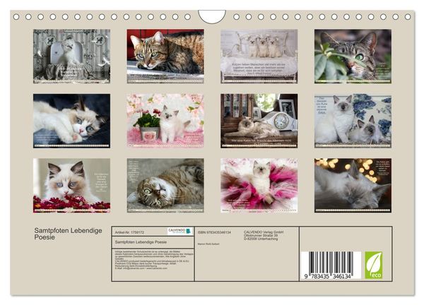 Produktbild: Samtpfoten Lebendige Poesie (Wandkalender 2025 DIN A4 quer), CALVENDO Monatskalender