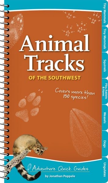 Produktbild: Animal Tracks of the Southwest