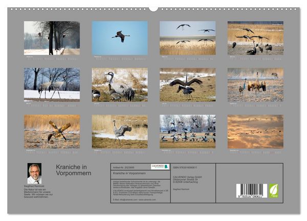 Produktbild: Kraniche in Vorpommern (hochwertiger Premium Wandkalender 2026 DIN A2 quer), Kunstdruck in Hochglanz