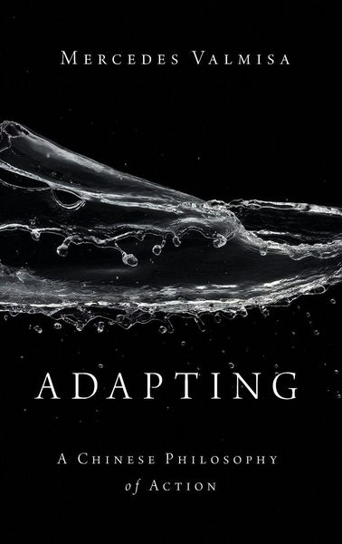 Produktbild: Adapting