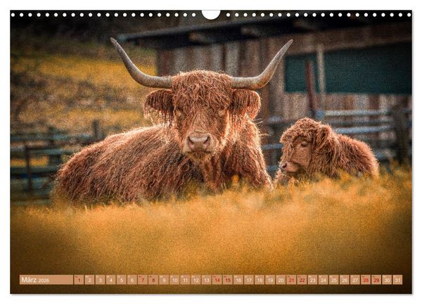 Produktbild: Mutterk&uuml;he (Wandkalender 2026 DIN A3 quer), CALVENDO Monatskalender