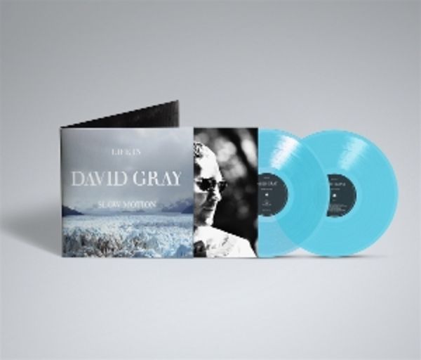 Life in Slow Motion -Deluxe 20th Anniversary Editi - David Gray, Vinyl