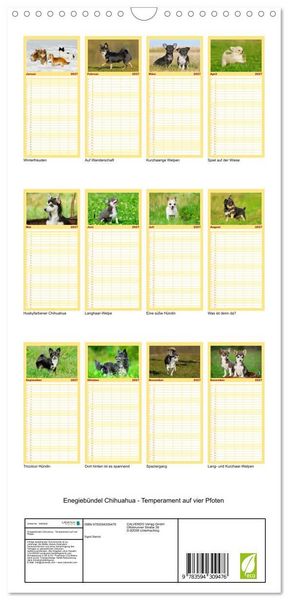 Produktbild: Familienplaner 2027 - Enegieb&uuml;ndel Chihuahua - Temperament auf vier Pfoten mit 5 Spalten (Wandkalender, 21 x 45 cm) CALVENDO