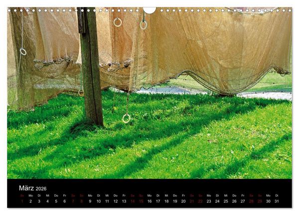 Produktbild: Segelsommer - D&auml;nische S&uuml;dsee (Wandkalender 2026 DIN A3 quer), CALVENDO Monatskalender