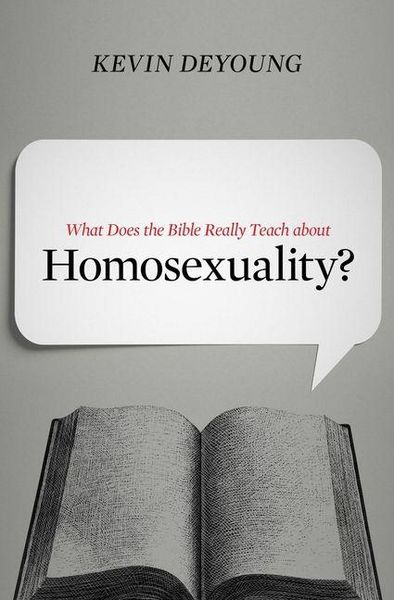 Produktbild: What Does the Bible Really Teach about Homosexuality?
