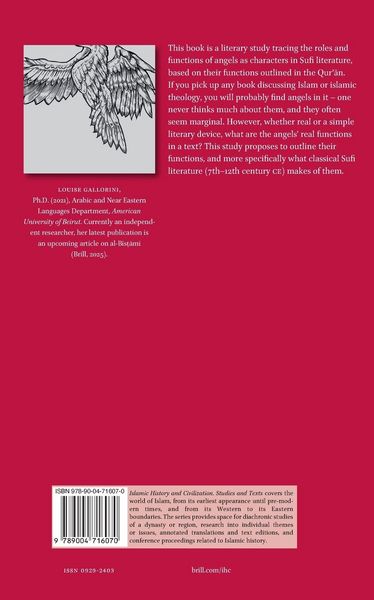 Produktbild: The Functions of Angels in Sufi Literature