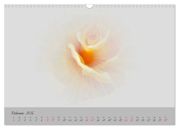 Produktbild: Bl&uuml;ten FineArt (Wandkalender 2026 DIN A3 quer), CALVENDO Monatskalender