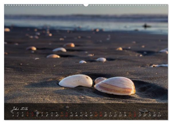 Produktbild: Neuseeland - Land der Maori (Wandkalender 2026 DIN A2 quer), CALVENDO Monatskalender