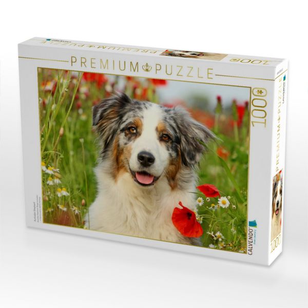 Produktbild: CALVENDO Puzzle Australian Shepherd | 1000 Teile Lege-Gr&ouml;&szlig;e 64x48cm Foto-Puzzle f&uuml;r gl&uuml;ckliche Stunden