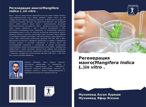 Produktbild: Regeneraciq mango(Mangifera Indica L.)in vitro .
