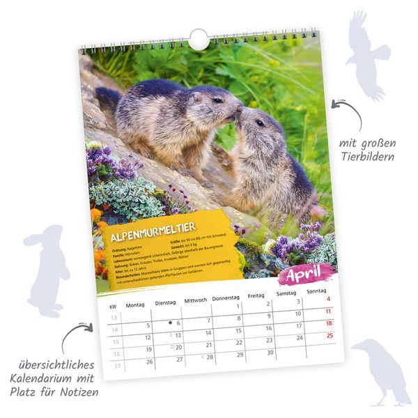 Produktbild: TR&Ouml;TSCH - Classickalender Heimische Tierwelt 2027