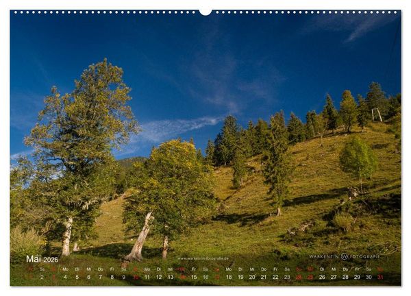 Produktbild: Gro&szlig;er Ahornboden - Europas gro&szlig;er Ahornwald (Wandkalender 2026 DIN A2 quer), CALVENDO Monatskalender
