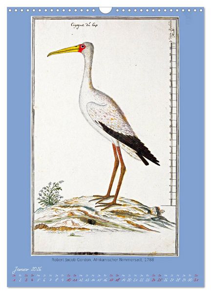 Produktbild: V&ouml;gel des s&uuml;dlichen Afrika (Wandkalender 2026 DIN A3 hoch), CALVENDO Monatskalender