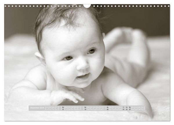 Produktbild: ...so winzig - Babykalender (Wandkalender 2026 DIN A3 quer), CALVENDO Monatskalender
