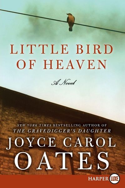 Produktbild: Little Bird of Heaven LP