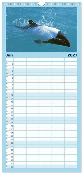 Produktbild: Familienplaner 2027 - Delfine: Elegante Wellenreiter mit 5 Spalten (Wandkalender, 21 x 45 cm) CALVENDO