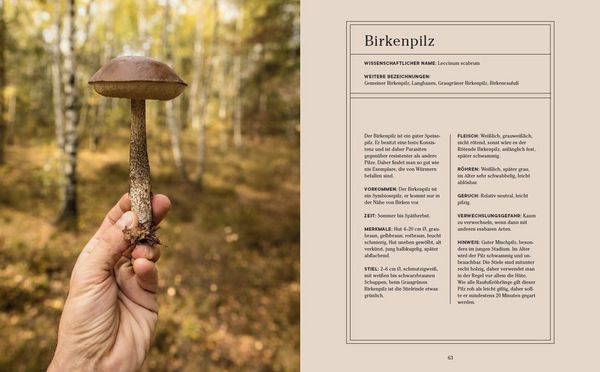 Produktbild: Into the Woods: Pilze suchen und Gl&uuml;ck finden