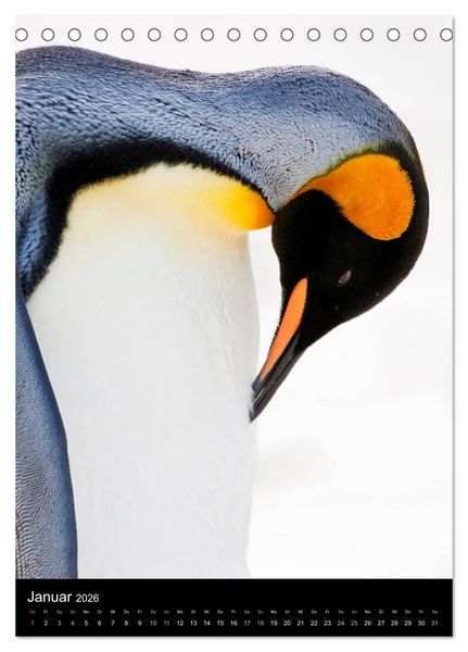 Produktbild: Hallo Pinguin (Tischkalender 2026 DIN A5 hoch), CALVENDO Monatskalender
