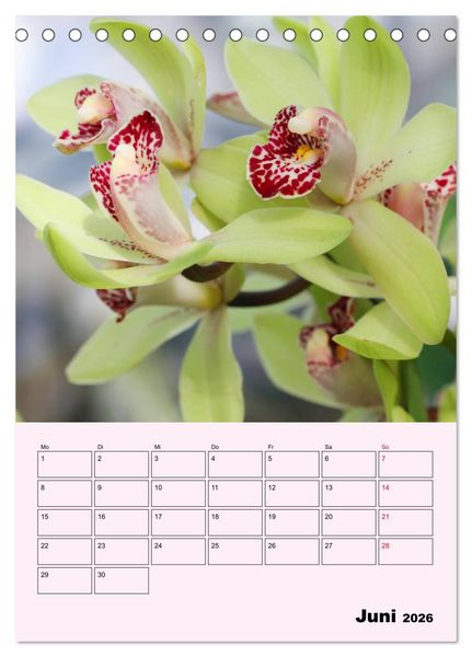 Produktbild: Orchideenliebe (Tischkalender 2026 DIN A5 hoch), CALVENDO Monatskalender