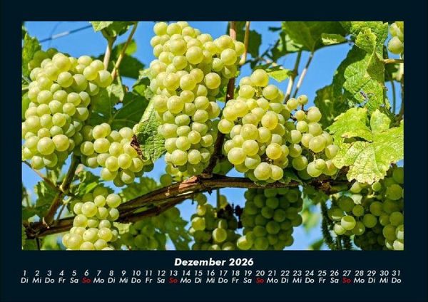 Produktbild: Obstkalender 2026 Fotokalender DIN A4