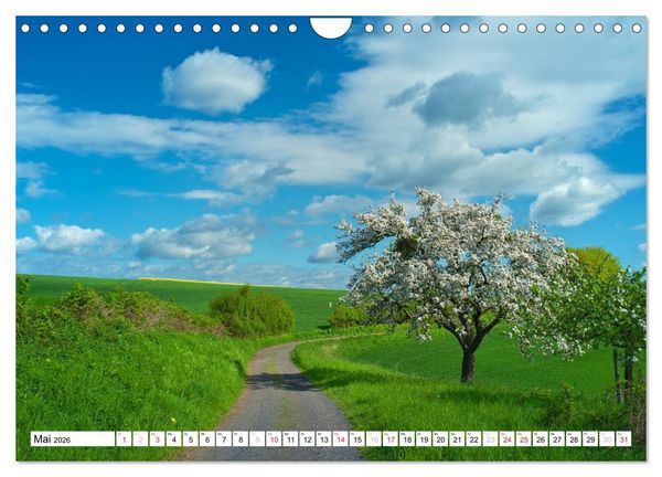 Produktbild: Traumhafte Wege durch die Eifel (Wandkalender 2026 DIN A4 quer), CALVENDO Monatskalender