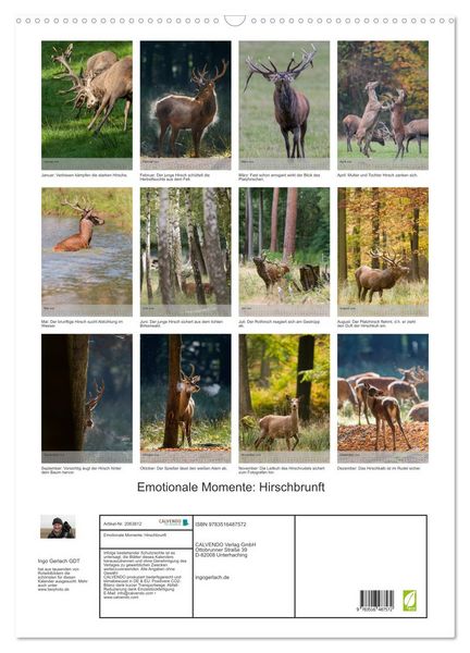 Produktbild: Emotionale Momente: Hirschbrunft (Wandkalender 2026 DIN A2 hoch), CALVENDO Monatskalender