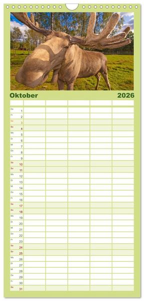 Produktbild: Familienplaner 2026 - Sehnsucht Schweden - Sverige mit 5 Spalten (Wandkalender, 21 x 45 cm) CALVENDO