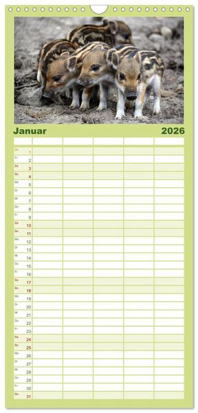 Produktbild: Familienplaner 2026 - Die lieben Kleinen ... Tierkinder einfach zum Knuddeln mit 5 Spalten (Wandkalender, 21 x 45 cm) CALVENDO