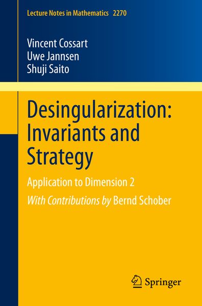 Produktbild: Desingularization: Invariants and Strategy