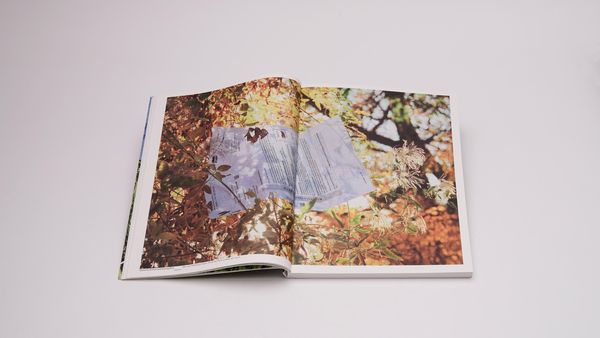 Produktbild: Philip Loersch &ndash; Pow - Portraitist Of Writing